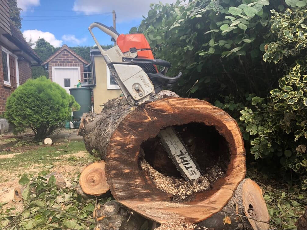 Discover the benefits of tree surgery services. Preserve the health of your trees & hedges. Protect your home from falling branches. Remove dead or diseased trees. Ideal for attractive landscapes. Find a reliable tree surgeon.