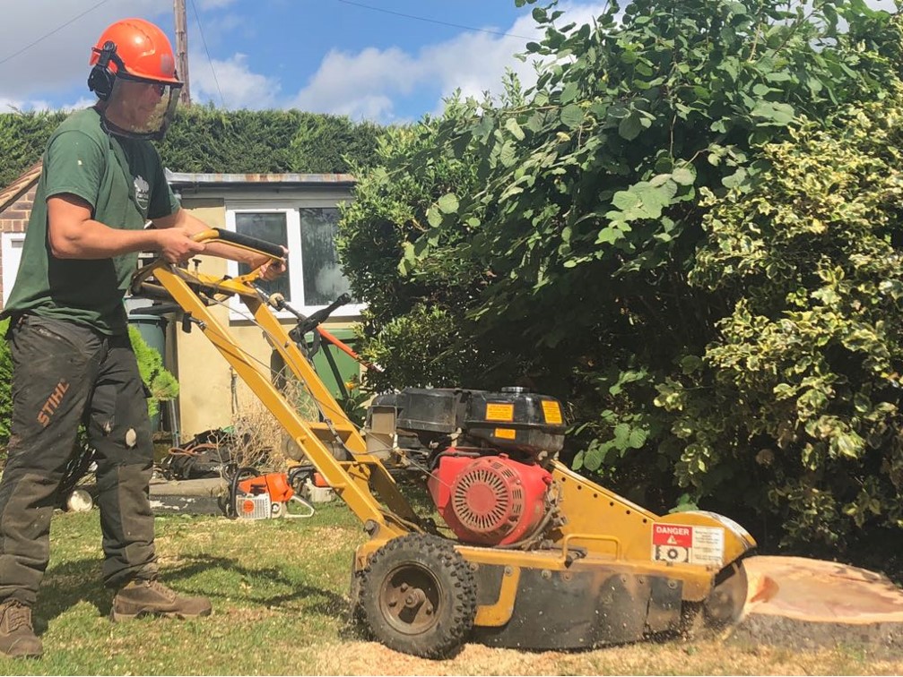 Coulsdon tree work company