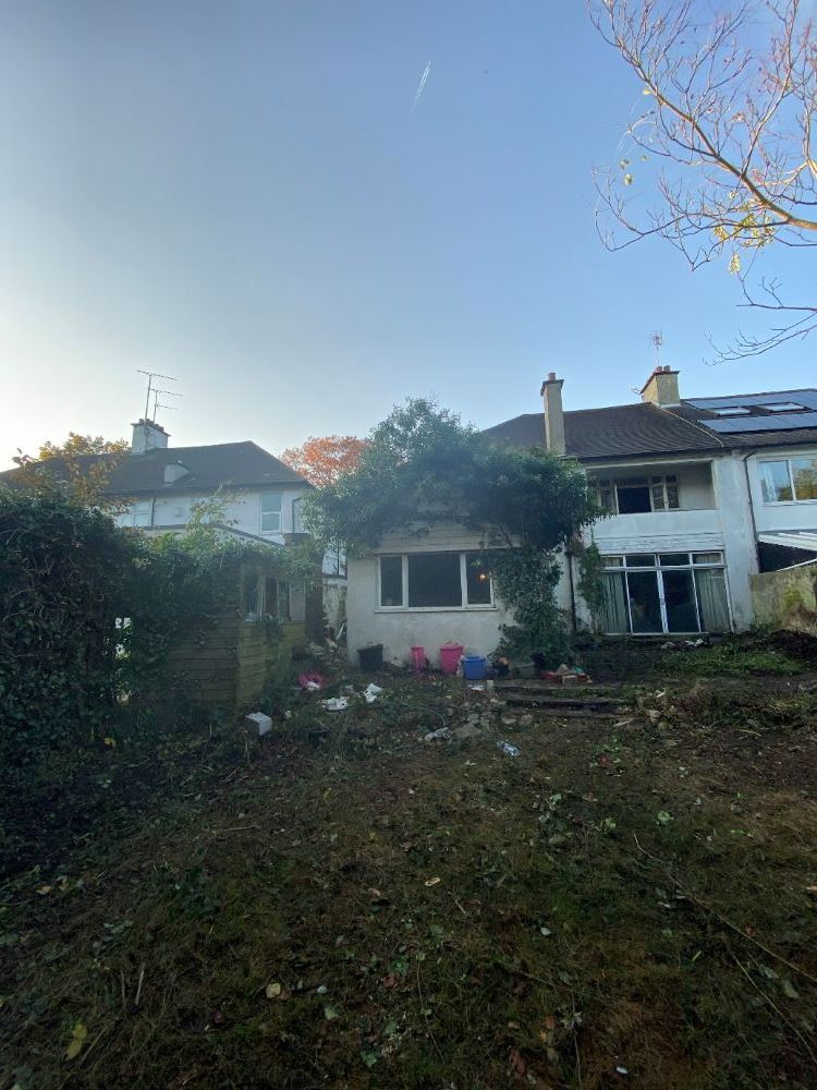 tree-surgeon-croydon