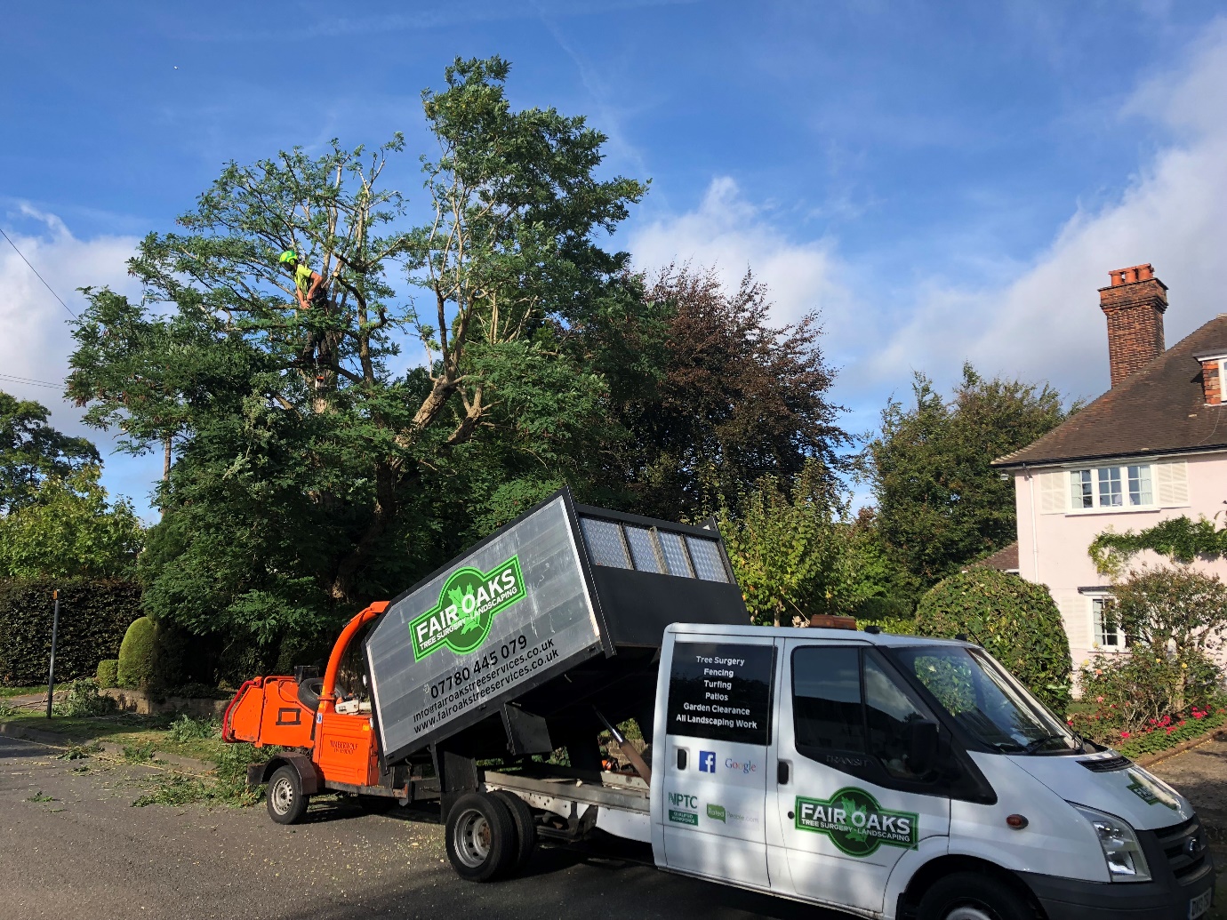 Coulsdon tree work company